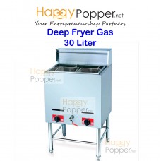 Deep Fryer 30 Liter ( Gas ) DF-M0013 30升立式燃气炸炉