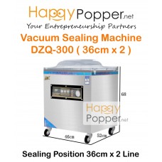Vacuum Sealer Machine DZQ-300  ( 36 cm x 2 )  VS-M0006 300型真空包装机