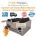 Taiyaki Maker Machine ( Ice Cream Cone Fish ) ( 1 Plate 3 pcs ) WF-M0016 鲷鱼机大三孔