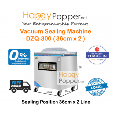Vacuum Sealer Machine DZQ-300  ( 36 cm x 2 )  VS-M0006 300型真空包装机