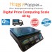 Digital Scale 40 kg ( Price Computing ) DS-M0001 电子秤40公斤