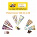 Polar Cone 100ml x 20 