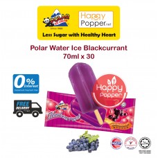 Polar Water Ice Blackcurrant 65ml x 30