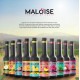 Maloise syrup series